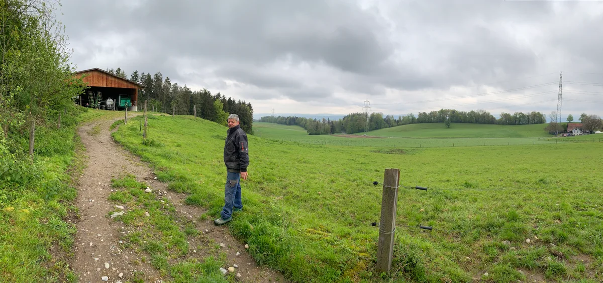 Ein Mann steht bei einer grossen Wiese.